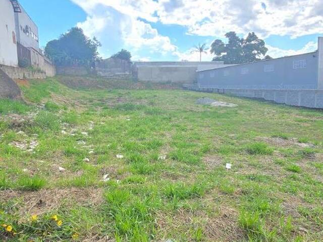 #51 - Área para Venda em Taubaté - SP - 2