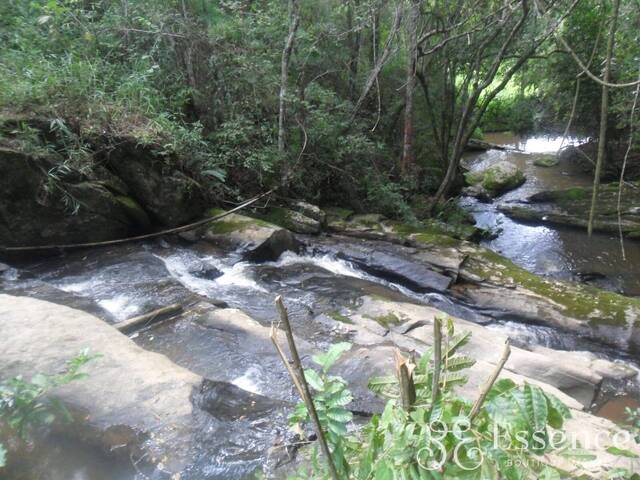 #82 - Área para Venda em Cunha - SP - 1