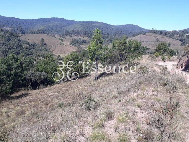 Área para Venda em Campos do Jordão - 3