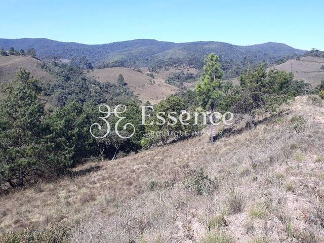 Área para Venda em Campos do Jordão - 4