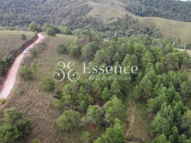 Área para Venda em Campos do Jordão - 2