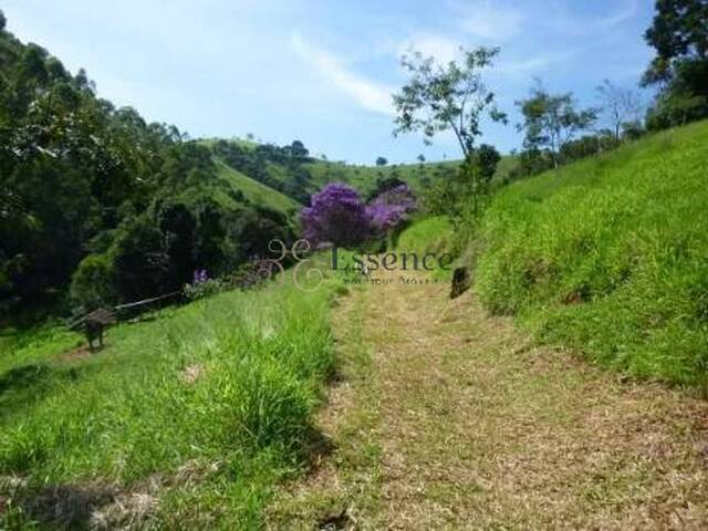 Sítio para Venda em Cunha - 2