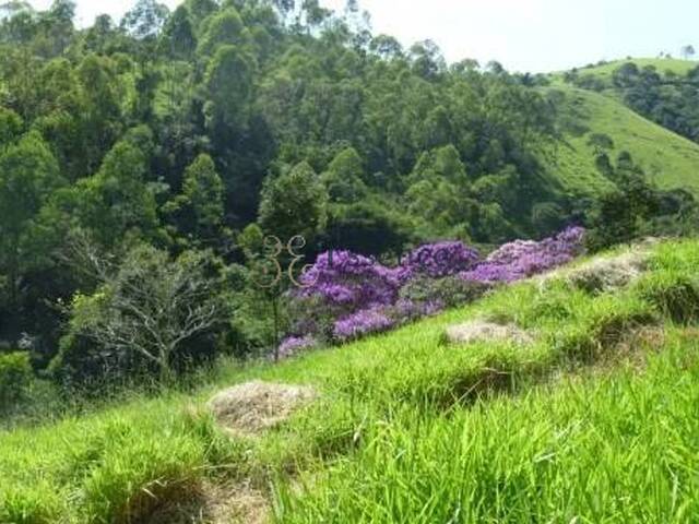 Sítio para Venda em Cunha - 4