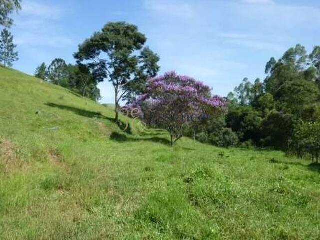 Sítio para Venda em Cunha - 5