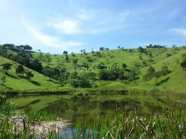 Venda em Paraitinga - Cunha