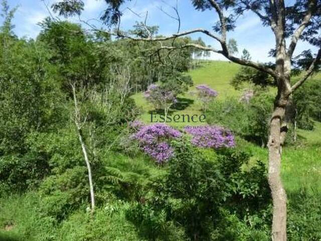 Sítio para Venda em Cunha - 3