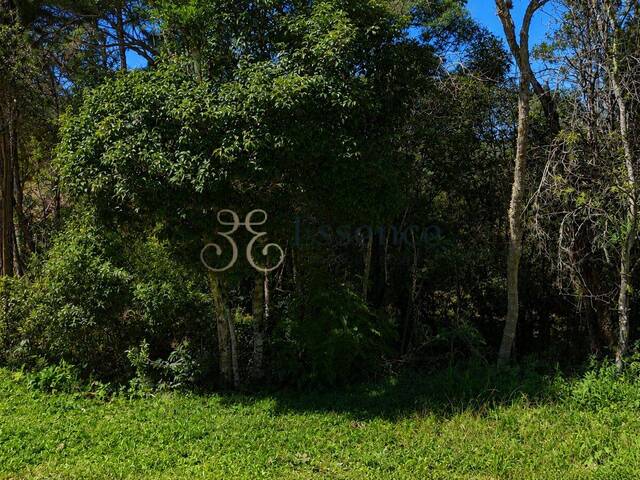 #295 - Terreno para Venda em Campos do Jordão - SP - 1