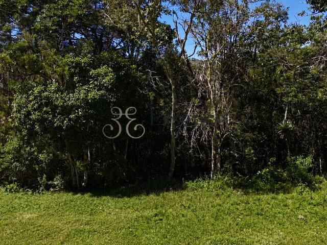 #295 - Terreno para Venda em Campos do Jordão - SP - 2