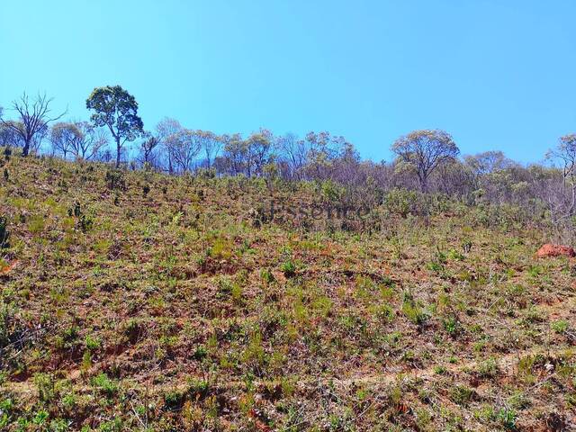 #303 - Terreno para Venda em Campos do Jordão - SP - 1