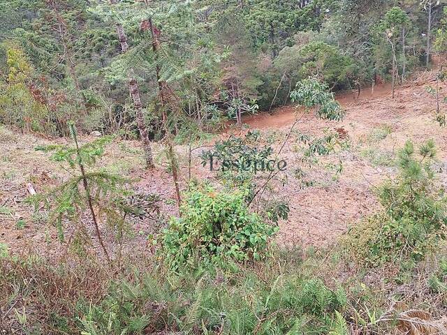 #304 - Terreno para Venda em Campos do Jordão - SP - 2