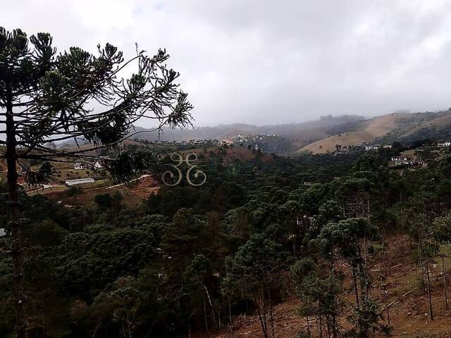 #304 - Terreno para Venda em Campos do Jordão - SP - 1