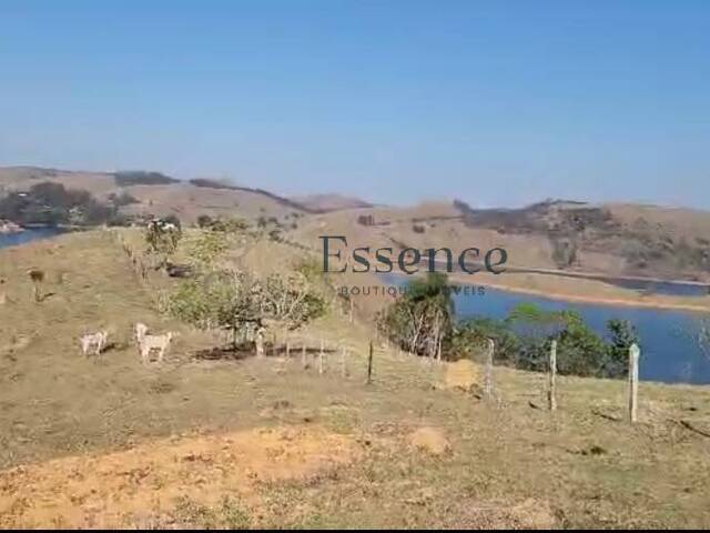 #325 - Sítio para Venda em São José dos Campos - SP - 3