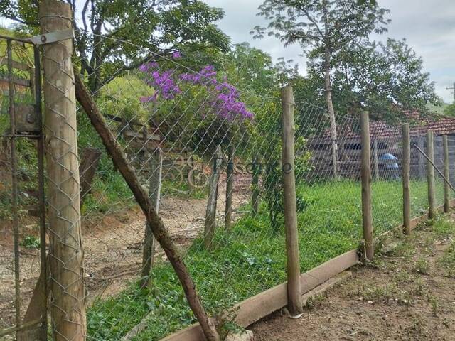 Sítio para Venda em Taubaté - 4
